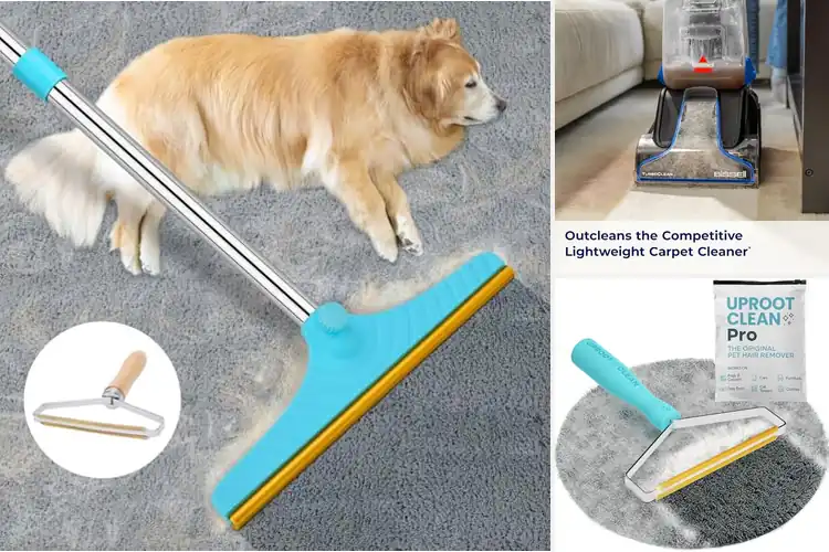 Detailed view of Best Carpet Cleaners for Pet Hair