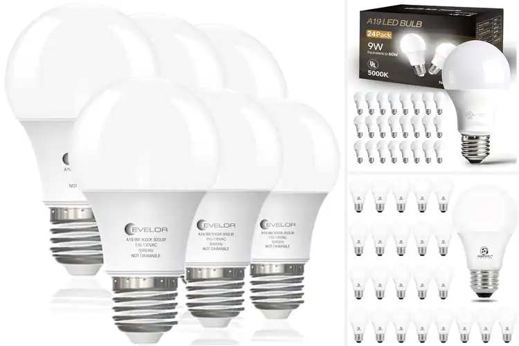 Detailed view of Best Daylight White Bulbs