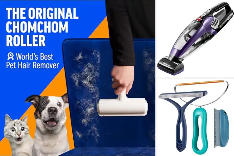 Detailed view of Best Furniture Cleaners for Pet Hair