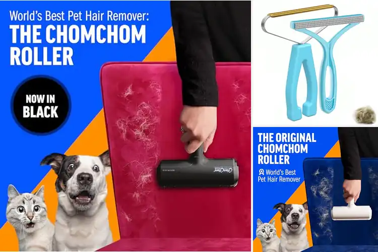 Detailed view of Best Furniture Hair Removers