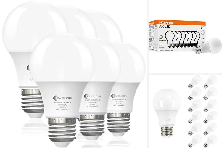 Detailed view of Best LED Bulbs: Brighten Your Home & Save Energy