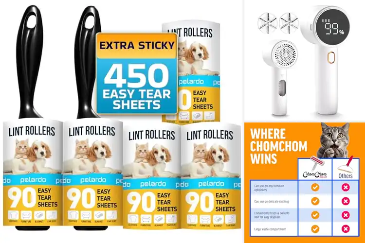 Detailed view of Best Lint Removers for Furniture: Pet Hair & Lint Gone