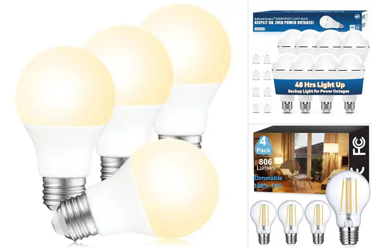 Detailed view of Best Long Lasting Bulbs