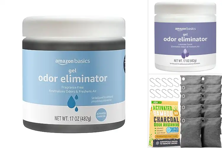 Detailed view of Best Odor Eliminators