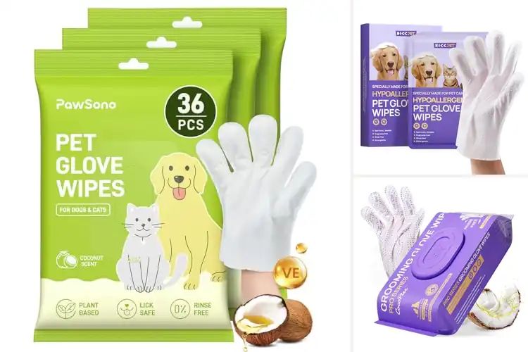 Detailed view of Best Pet Care Gloves