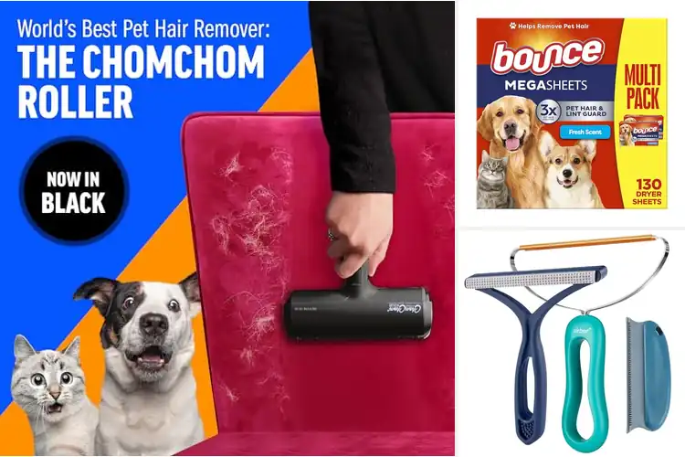 Detailed view of Best Pet Hair Removal For Home