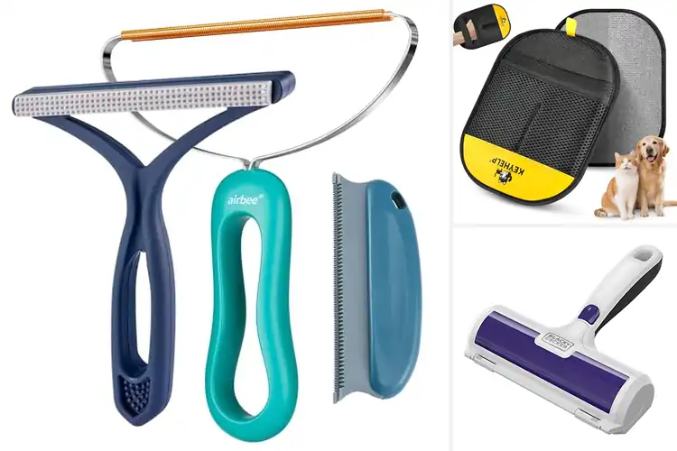 Detailed view of Best Pet Hair Remover For Home