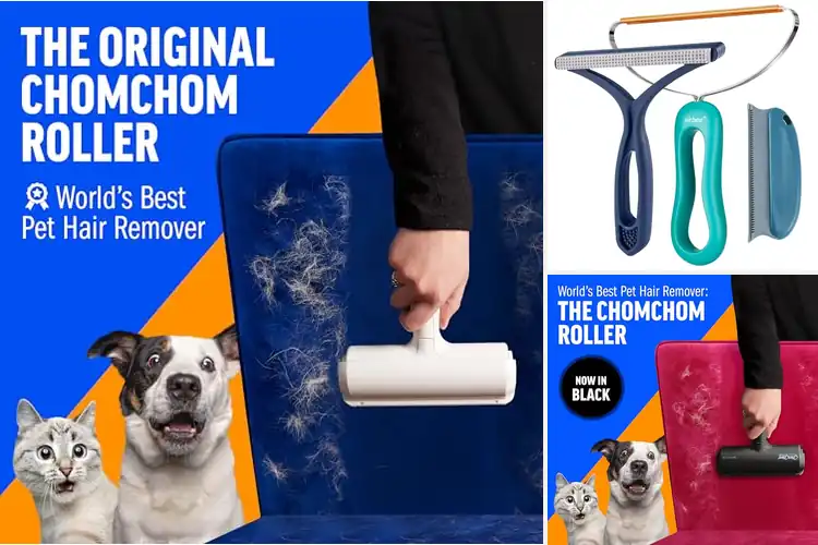 Detailed view of Best Pet Hair Removers: Top Tools for a Fur-Free Home
