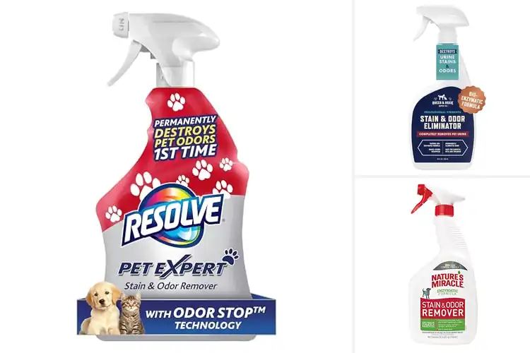 Detailed view of Best Pet Safe Stain Removers