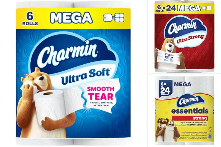 Detailed view of Best Quantity Mega Rolls Charmin 6 Pack